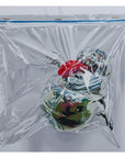Plastic Pegajoso