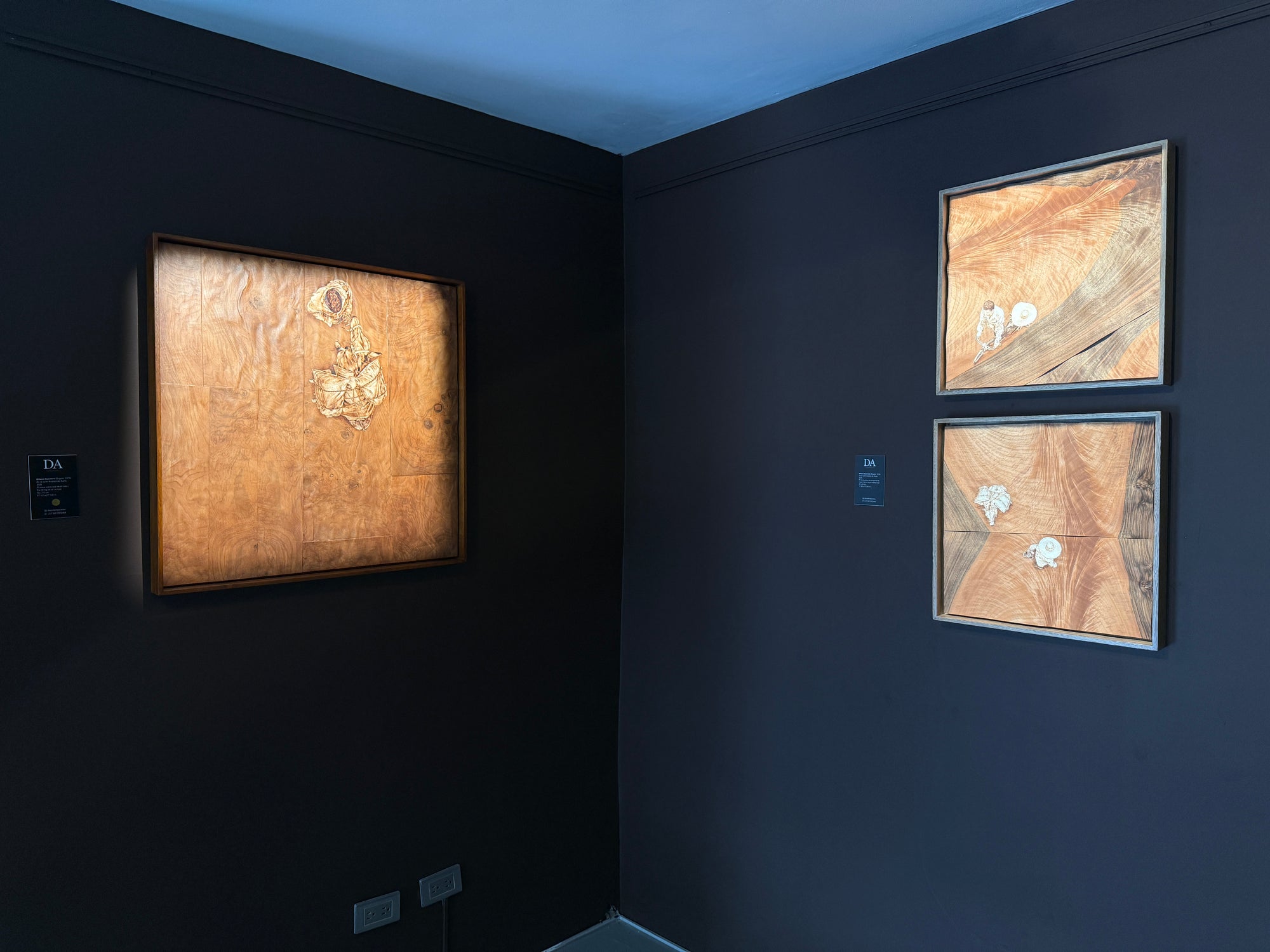 De la serie Análisis de suelo (2)